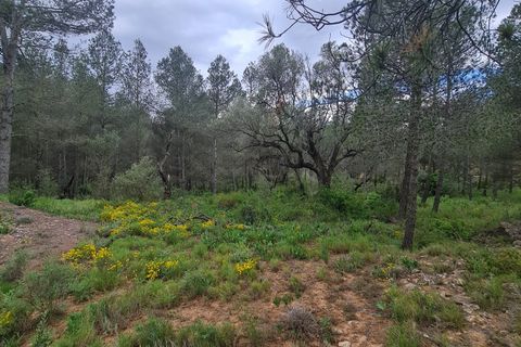 Landejendom i Asco, Tarragona, Asco - € 12.500 | Ref: 959 Lasco - foto 9